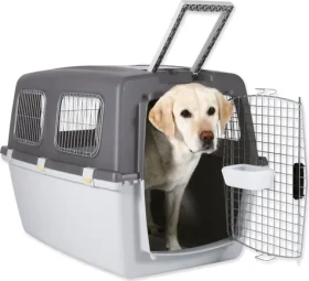TRIXIE Transportní přepravka Gulliver 6 šedá / M-L / 64x64x92 cm / nosnost 38 kg