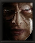 Harry Potter Obraz 3D - Harry vs Voldemort - EPEE