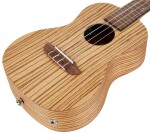 Ortega RFU11ZE