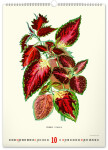 Nástěnný kalendář 2026 NOTIQUE - Vintage plakáty – herbář, 33 x 46 cm