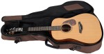 Furch Blue D-CM CNR Active 2026