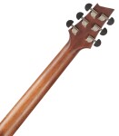 Cort NDX Baritone NS