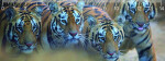 Pravítko 3D - Bengal tigers deep