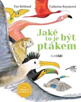 Jaké to je být ptákem - Tim Birkhead