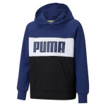 Dětská mikina Alpha Hoodie Jr 12 128 Puma