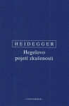 Hegelovo pojetí zkušenosti - Martin Heidegger