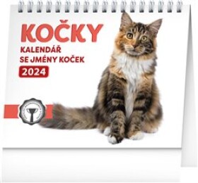 Stolní kalendář Presco Group 2024 - Kočky - se jmény koček, 16,5 × 13 cm