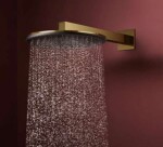 HANSGROHE - Raindance Alive S Hlavová sprcha, průměr 30 cm, 2 proudy, leštěný vzhled zlata 24540990