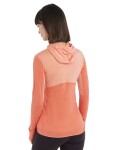 ICEBREAKER Wmns Merino 200 Realfleece™ Descender LS Zip Hoodie, Glow/Tang/Cb (vzorek) velikost: S