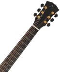 Dowina Cabernet GACE EAS-VTC