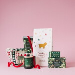 The English Soap Company Krém na ruce Frosted Fir and Holly 75 ml, zelená barva, kov