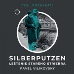 Silberputzen Pavel Vilikovský