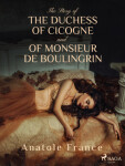 The Story of the Duchess of Cicogne and of Monsieur de Boulingrin - Anatole France - e-kniha