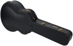 Eastman AC330E-12 Sunburst
