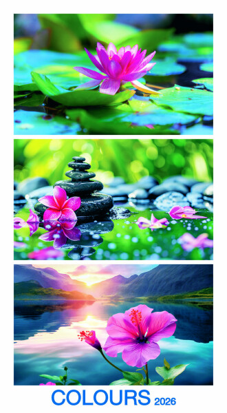 Nástěnný kalendář 2026 Graspo - Colours