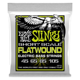 Ernie Ball 2818 Regular Slinky Flatwound Short Scale 45-105