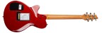 Godin DS-1 Daryl Stuermer Signature