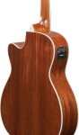 Ibanez AC390CE-NT