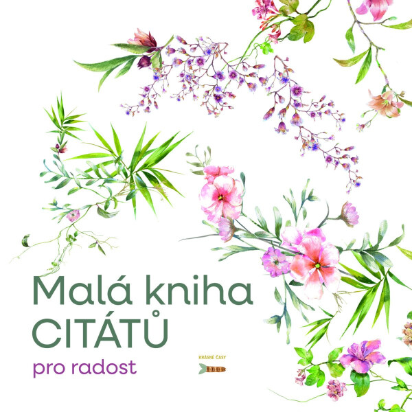 Malá knížka citátů pro radost - Pavla Staňková