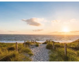 Obraz na plátně Písečná cesta k moři, 61x46 cm