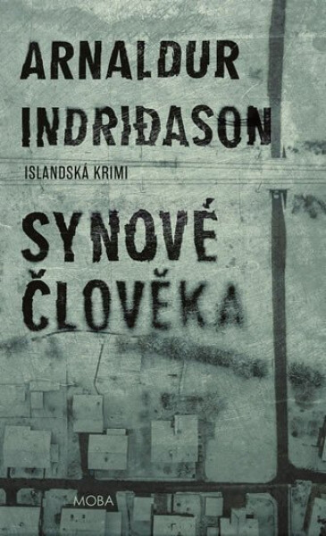 Synové člověka - Islandská krimi - Arnaldur Indridason