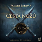 Kolo času VIII.: Cesta nožů - Robert Jordan