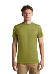 ICEBREAKER Mens Merino 125 CL Sphere SS Tee C Block, Sphagnum/Dark Loden/Cb (vzorek) velikost: M