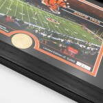 Obraz Cincinnati Bengals NFL Team Stadium Bronze Coin