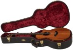 Taylor 924ce-K 50th Anniversary + Circa 74 amp Limited Edition