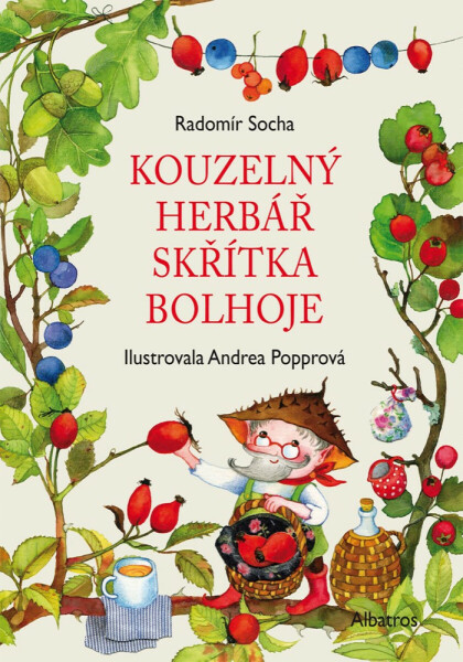 Kouzelný herbář skřítka Bolhoje - Radomír Socha