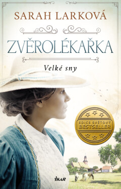 Velké sny - Sarah Larková