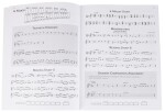 MS Primary Handbook for Mallets