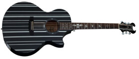 Schecter Synyster Gates AC-GA SC Black with Silver Pin Stripes