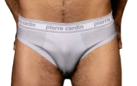Pánské slipy Pierre Cardin U252