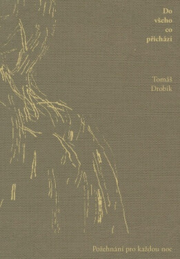 Do všeho co přichází - Jindra Viková, Tomáš Drobík