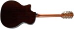 Taylor 454ce Next Generation
