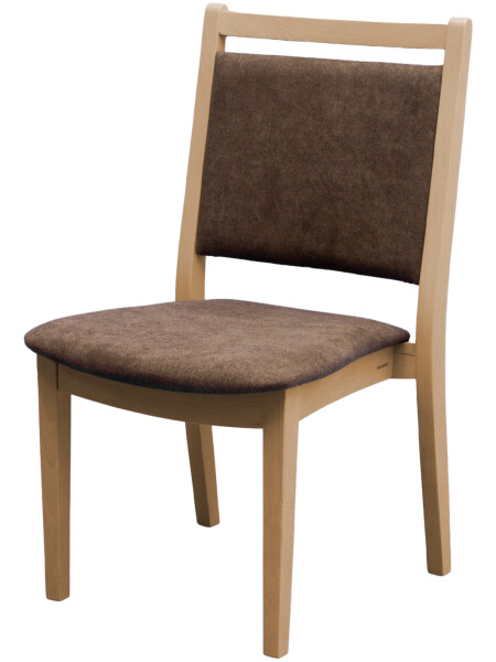 BRADOP Jídelní židle BLANKA Z127 - stohovatelná BRA-Z127-ZIDLE