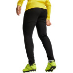 Kalhoty Puma Team Goal Slim Training M 659037 03 L