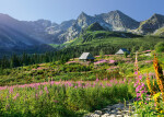 Puzzle Cherry Pazzi 1000 dílků Tatry