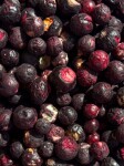 Vilgain Černý rybíz lyofilizovaný – 180 g