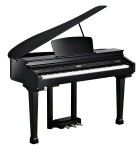 Kurzweil KAG100 EP