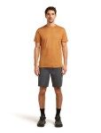 Pánské merino triko s krátkým rukávem ICEBREAKER Mens 125 Cool-Lite Sphere III SS Tee, Trail velikost: XXL