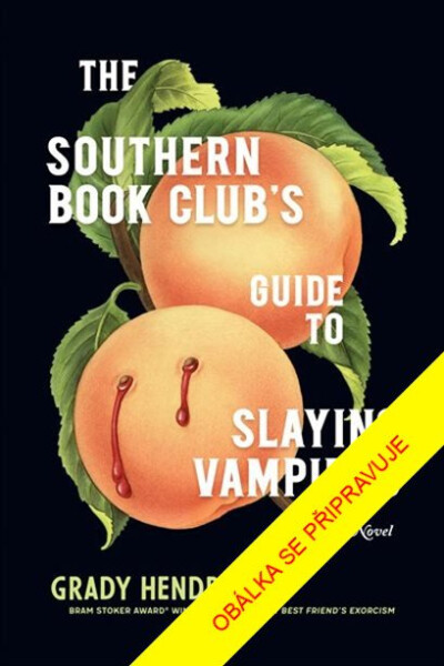 Průvodce jižanského čtenářského klubu zabíjením upírů - Grady Hendrix