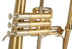 VanLaar B1 Brushed, lacquered