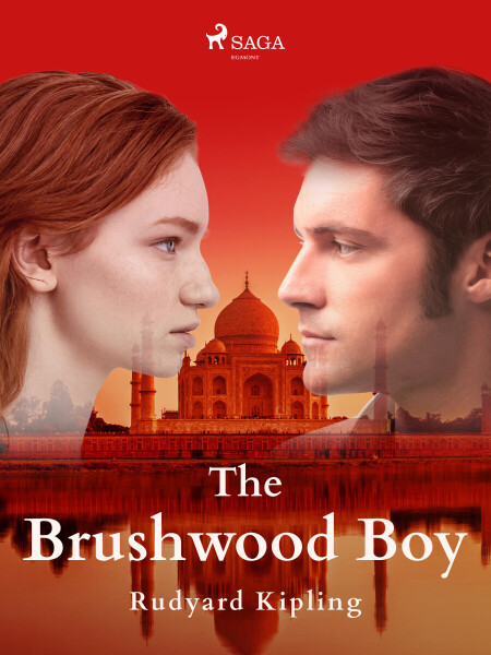 The Brushwood Boy - Rudyard Kipling
