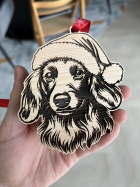 Vánoční baňka psa se Santa čepicí Plemeno: Jezevčík