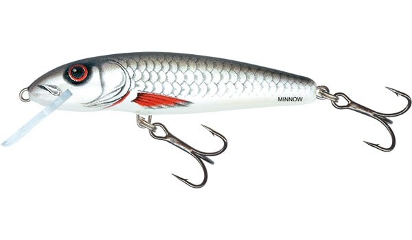 Salmo Wobler Minnow Sinking 7cm - Dace,Salmo Wobler Minnow Sinking 7cm - Dace