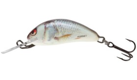 Salmo Wobler Hornet Sinking 4cm - Real Dace,Salmo Wobler Hornet Sinking 4cm - Real Dace