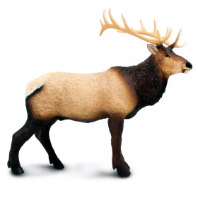 Safari Ltd. Safari Ltd. Figurka - Wapiti