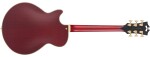 D'Angelico Deluxe SS Trans Wine